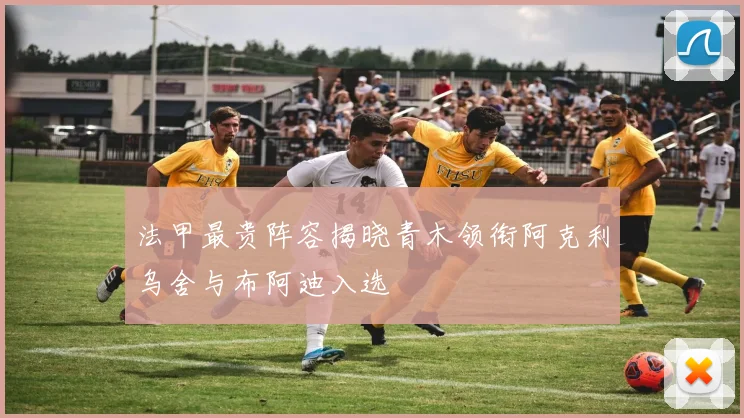 法甲最贵阵容揭晓青木领衔阿克利乌舍与布阿迪入选