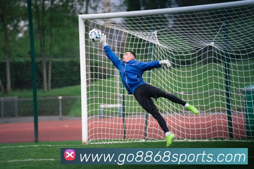 App Interface Preview