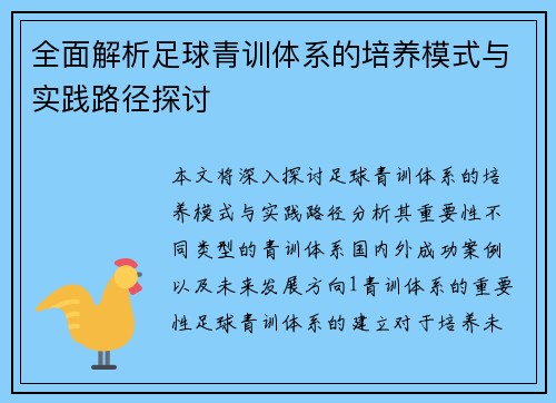 全面解析足球青训体系的培养模式与实践路径探讨