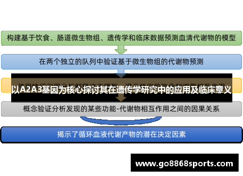 以A2A3基因为核心探讨其在遗传学研究中的应用及临床意义