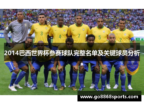 2014巴西世界杯参赛球队完整名单及关键球员分析